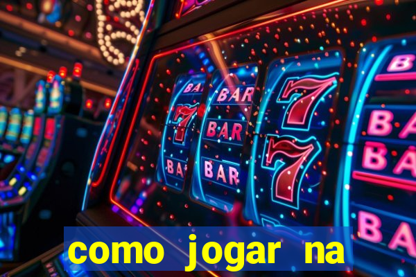 como jogar na lotinha do jogo do bicho